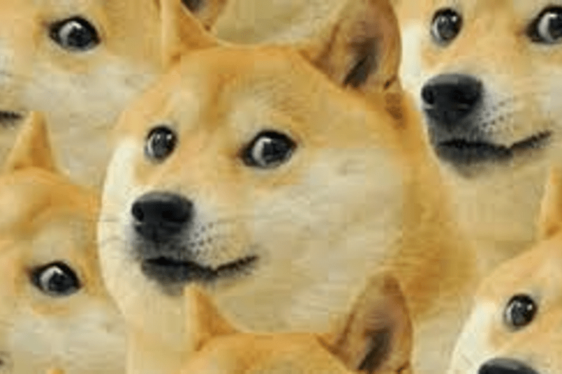 Administrator test image