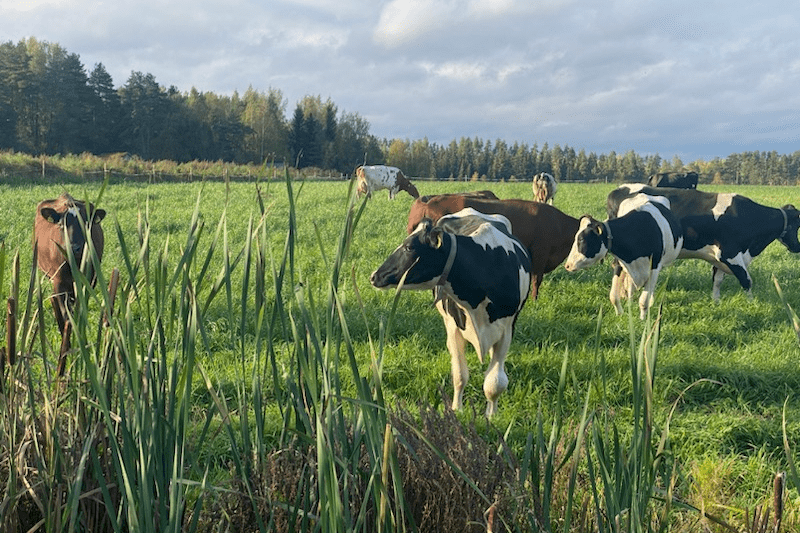 Two farm workers image