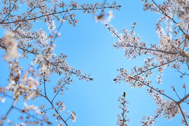 Content Producer – konsultuppdrag i Göteborg (start omgående) image