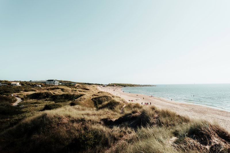 Apotekschef till Halmstad image