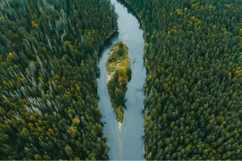 Group Legal Counsel till Sertion image