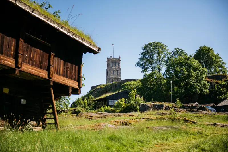 Vestfoldmuseene - Direktør image