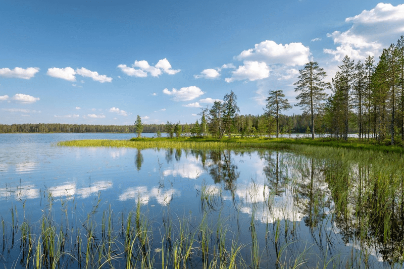 Sairaanhoitaja Satakunta (Kankaanpää) image