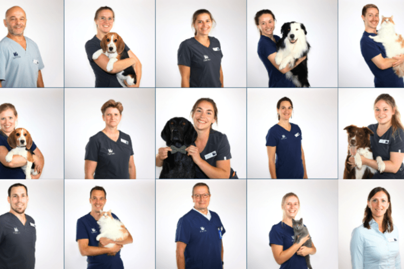 Area Medical Partner image