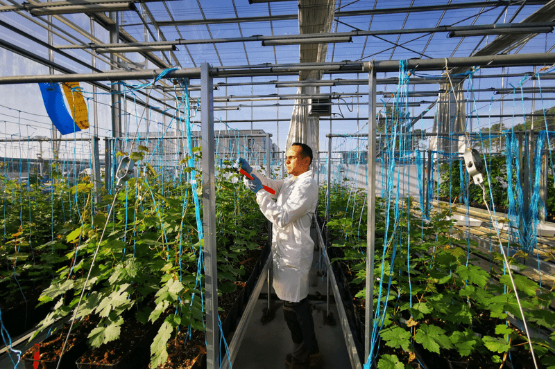 ASSISTANT TECHNICIEN SERRISTE H/F image