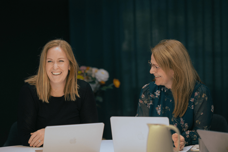 Strategisk rådgiver til Stem Agency image