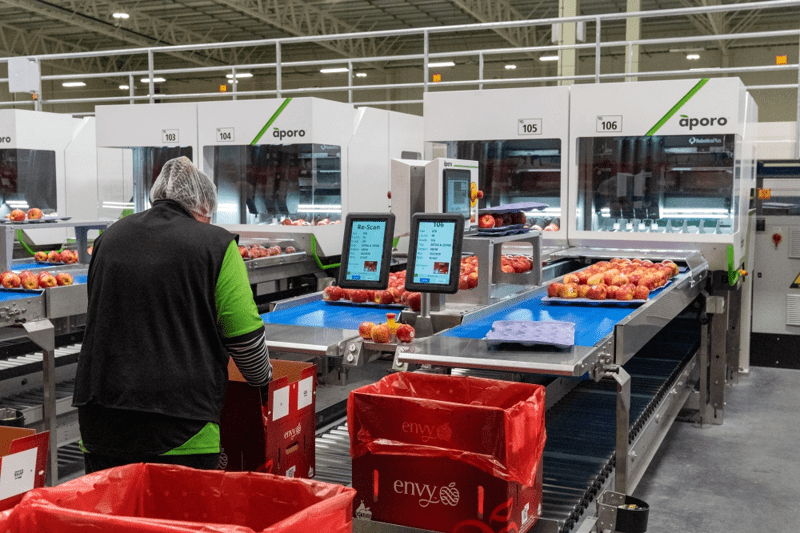 Site Services Engineer image