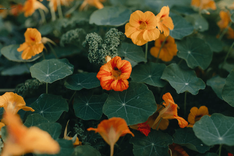 Dispatch & Scheduling Specialist - Servly Jordbro image