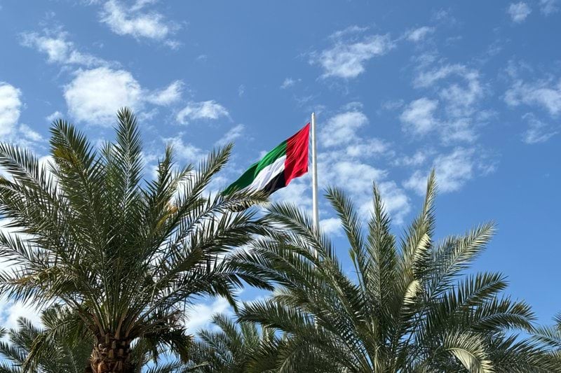 Data Entry (UAE National) image