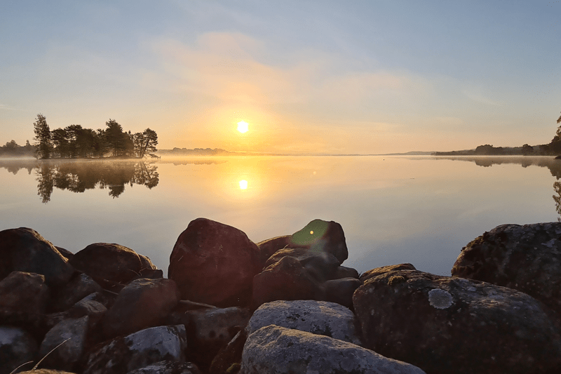 Spontanansökan till Hälsingland image