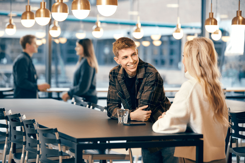 Studentermedhjælper til vores IT-support image