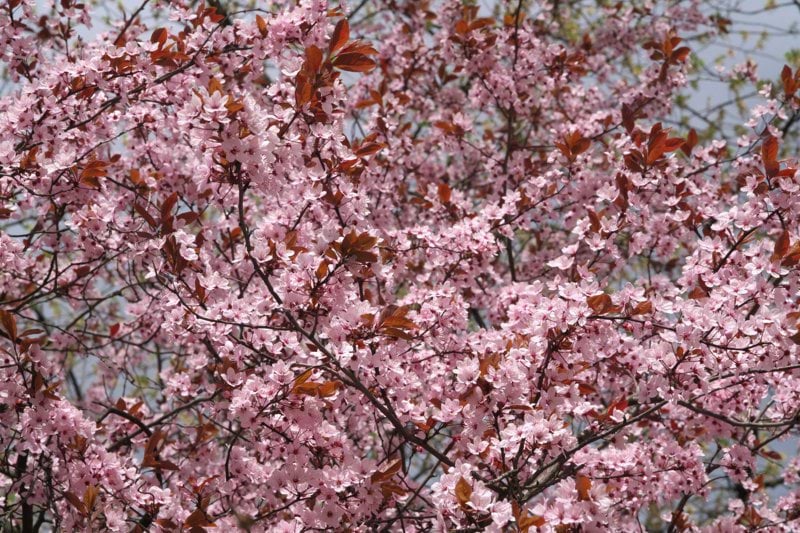 Behandlingspedagog till Aqura Nockeby image