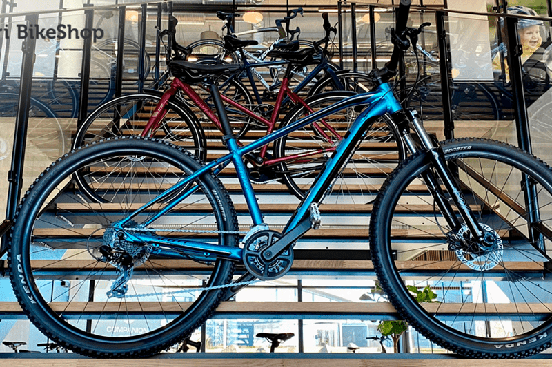 Erhvervssælger med kommercielt mindset og stærke relationsevner til ny nøgleposition hos Fri BikeShop – Hinnerup image