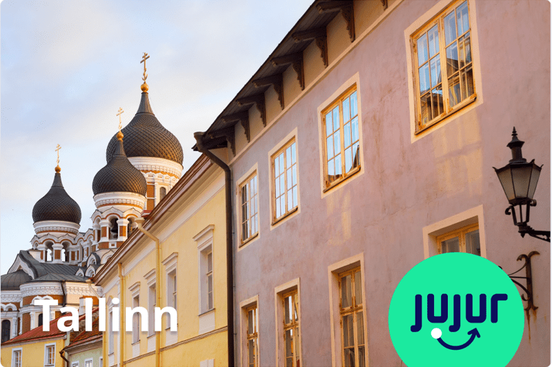 FinTech Finance Manager - Estonian image