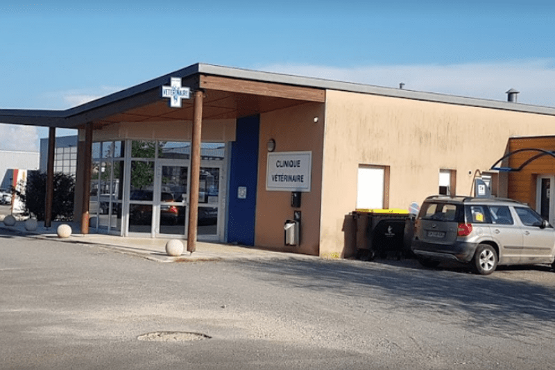 BOURGOGNE - CLINIQUE SAINT USAGE - CDI - MIXTE DOMINANTE CANINE image