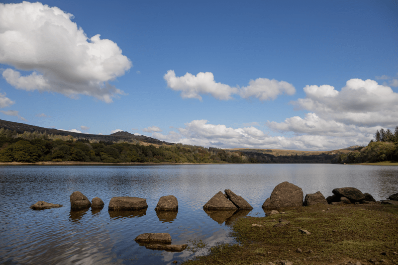 Operational Resilience Manager image