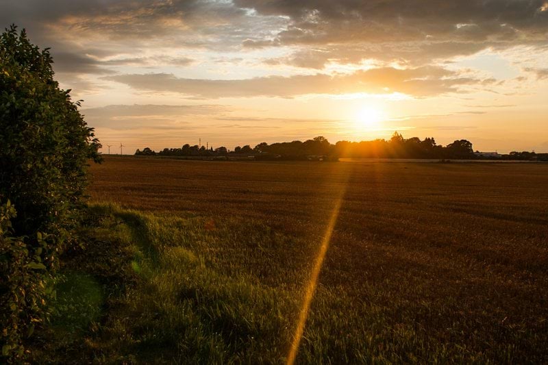 Interim VD till sydöstra Skåne image