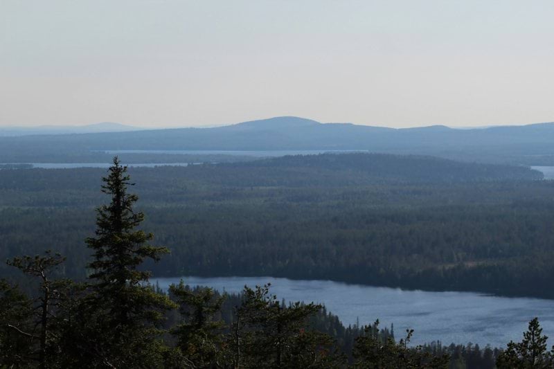 Mhy Rokua-Paljakka: Metsäasiantuntija (Puolanka) image