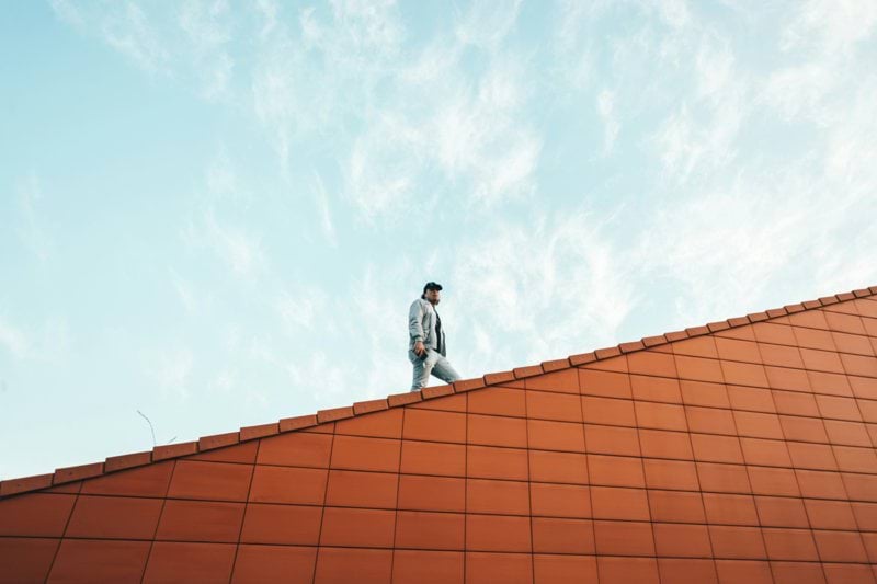 Kattopeltiseppä image