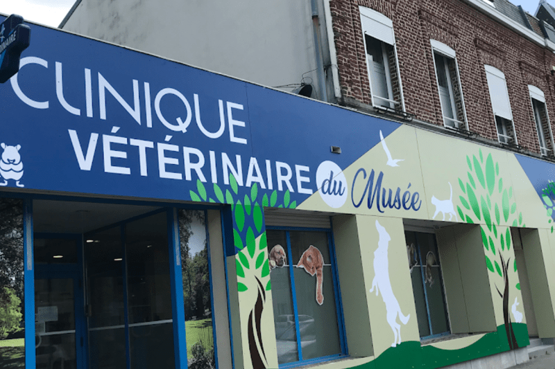 ANZIN - CLINIQUE DU MUSEE - VETERINAIRE CANIN - CDI/CDD (H/F) image