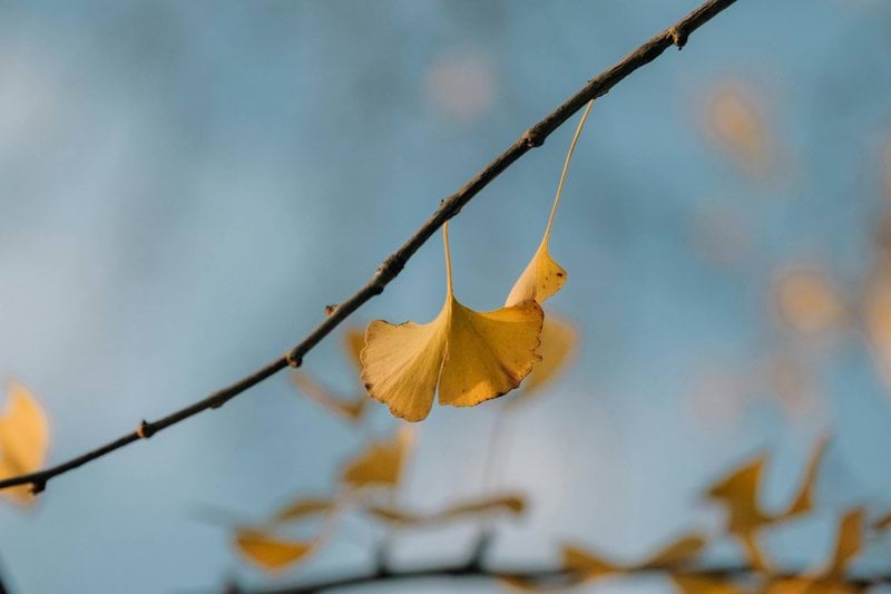 Radiation Therapist image