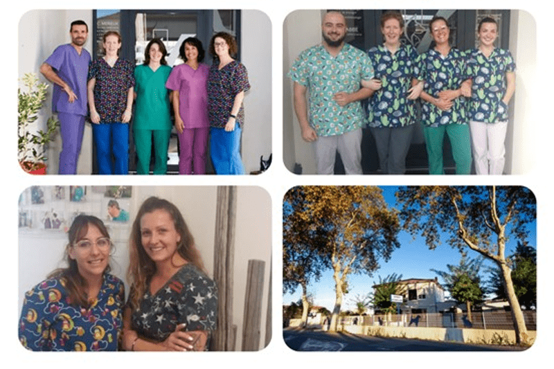 PEZENASVET - ASV EN CDD 4 A 6 MOIS (H/F) image