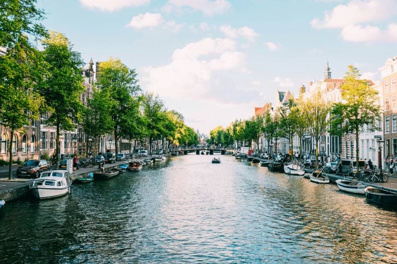 Head of Customer Support - Netherlands image