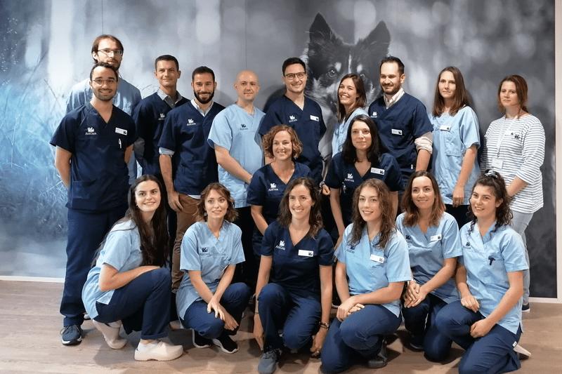 Area Operations Partner - Lyon image