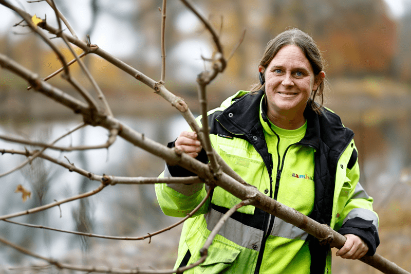 Områdeschef Norrköping image