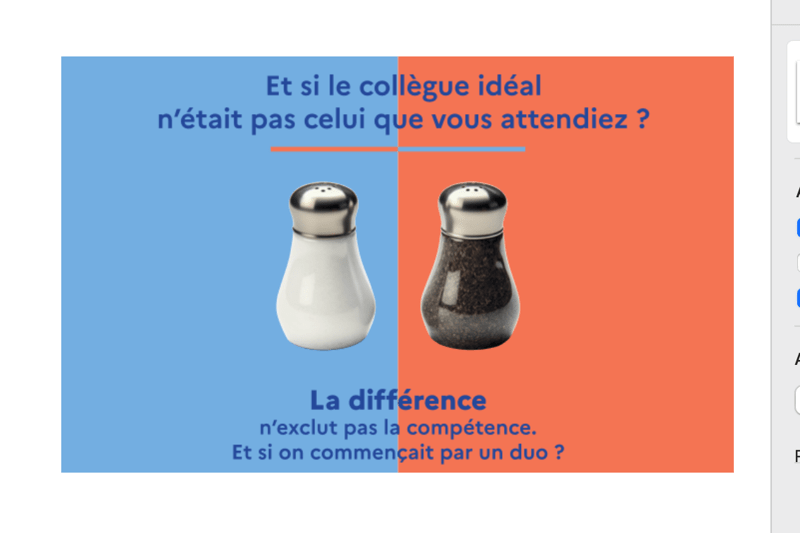 Participez aux rencontres Duo Day Altavia le 21 novembre 2024 !  #semaineduhandicap image