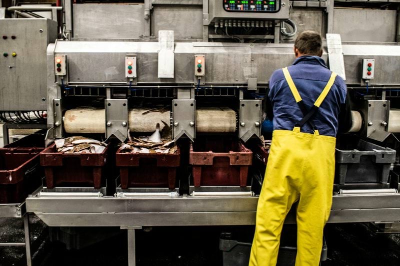 APPROVISIONNEUR.SE DE LIGNE EN INDUSTRIE AGROALIMENTAIRE image