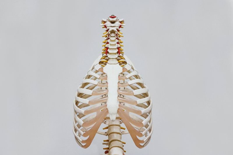 Sjukgymnast image