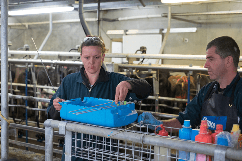 On Farm Support - Team Leader image