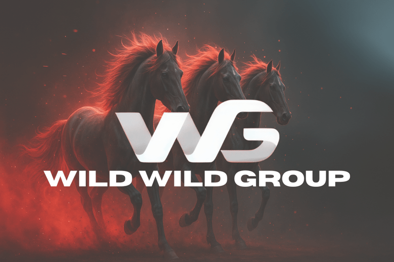 Facebook Media Buyer for Wild Wild Group image