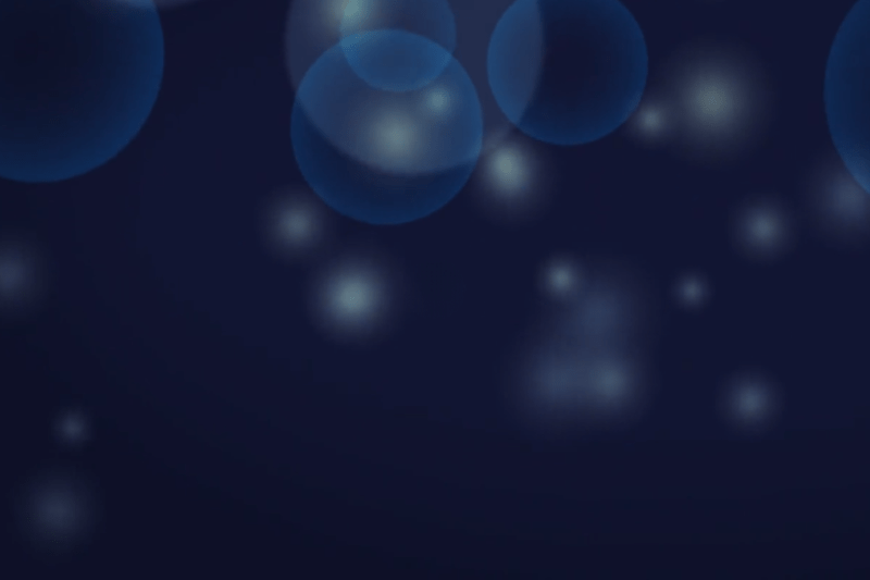 Service Team Lead image