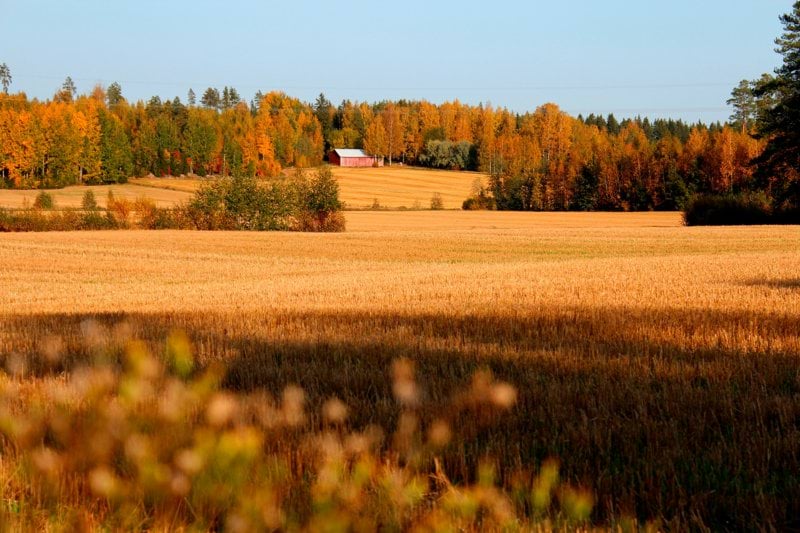 IT säkerhetsarkitekt till Alecta image
