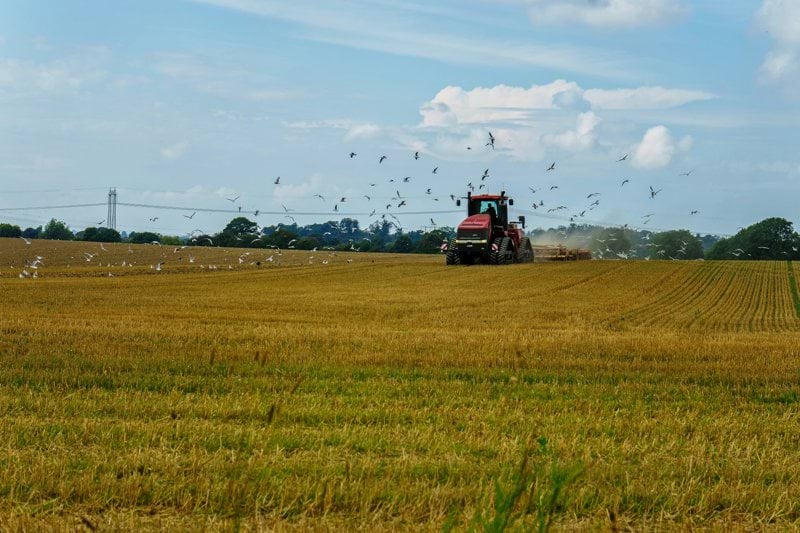 Interim Förvaltningschef Skåne image