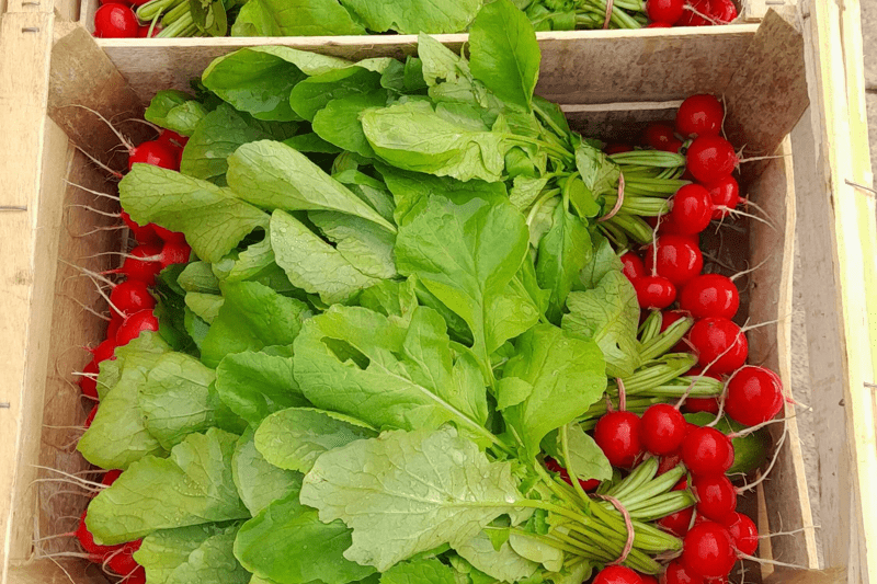 Responsable des Opérations de Vente Directe (F/H) image