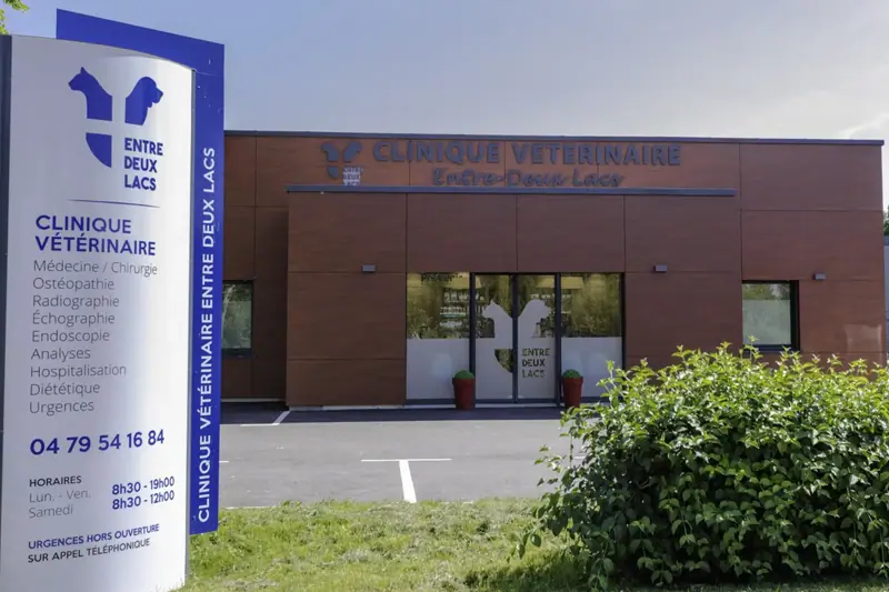 Entrelacs - Entre Deux Lacs - Vétérinaire Généraliste - CDD (H/F) image