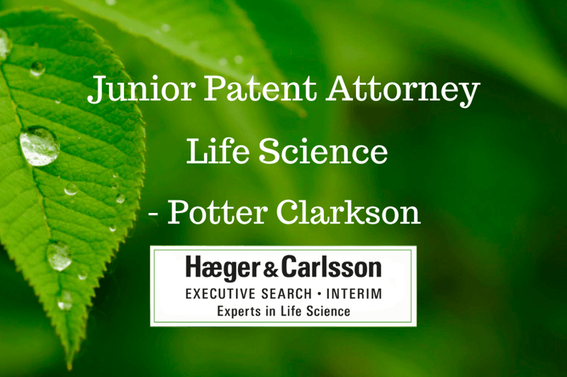 Junior Patent Attorney Life Science Stockholm - Potter Clarkson image