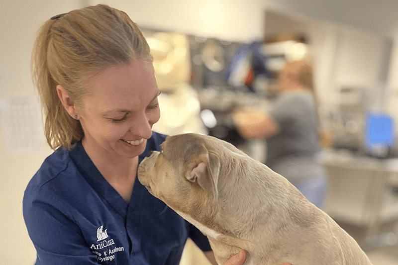 Er du til faglighed og omsorg med et smil, så mangler vi dig. image