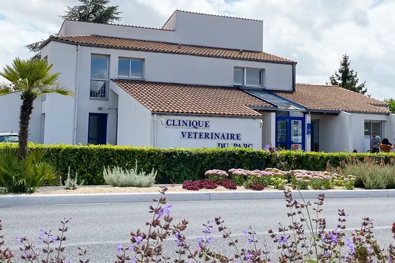 PARC - SAINTES - VETERINAIRE EQUIN EN CDI (H/F) image