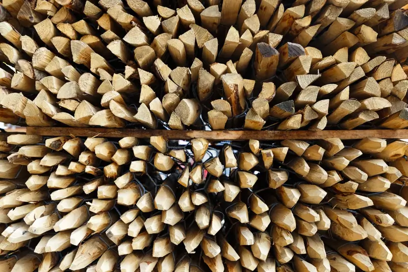 Business Developer / Développeur de CA H/F image