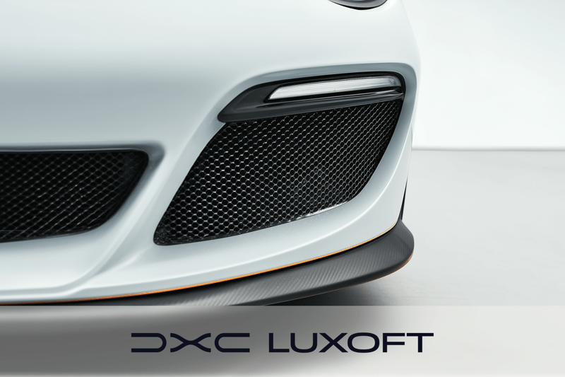 Senior Software Architect // DXC Luxoft image
