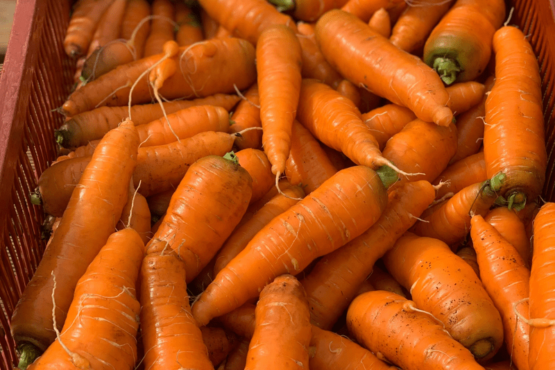 Ouvrier maraicher saisonnier (H/F) image