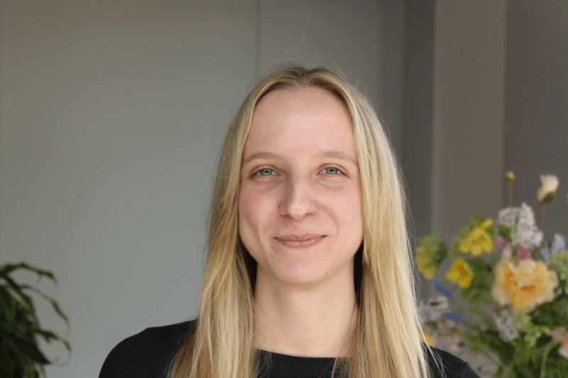 Senior ERP Consultant (Nederland) image
