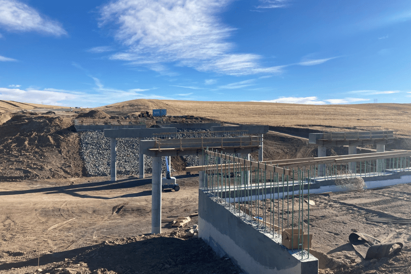 Bridge Carpenter image