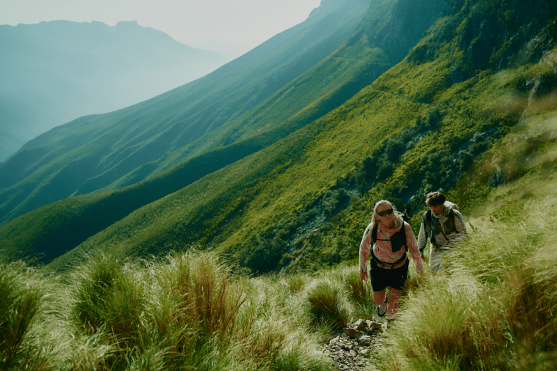 Sales Lead - Part Time image