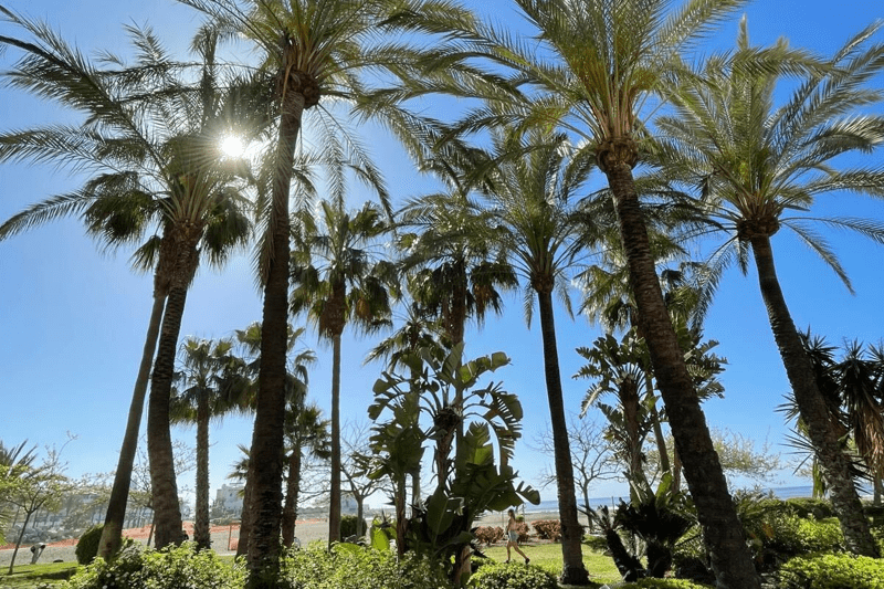☀️Team Leader – Fuengirola ☀️ image