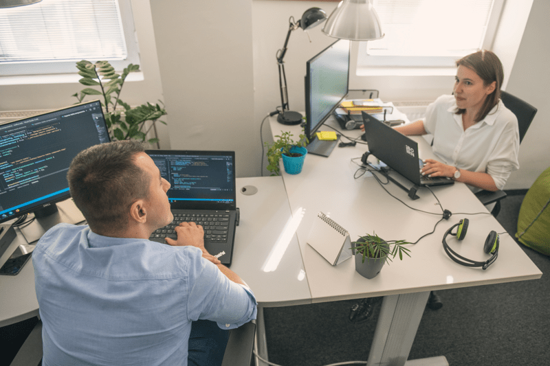 Software Architect image